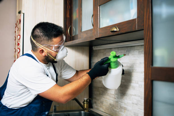 Best Pest Control Treatment  in Roseville, CA