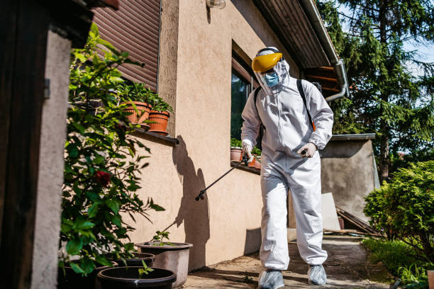 Best Bird Control  in Roseville, CA