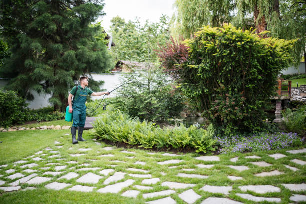Best Pest Removal Services  in Roseville, CA