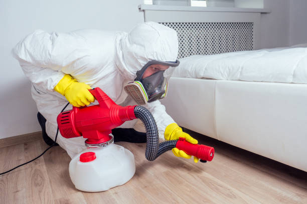 Best Flea Control Services  in Roseville, CA