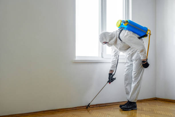 Trusted Roseville, CA Pest Control Experts