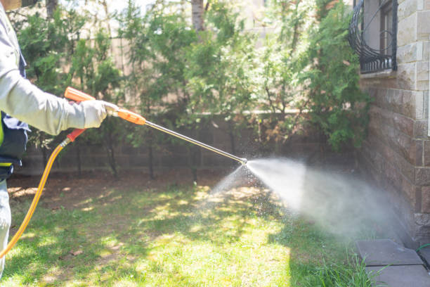 Best Cockroach Control Services  in Roseville, CA